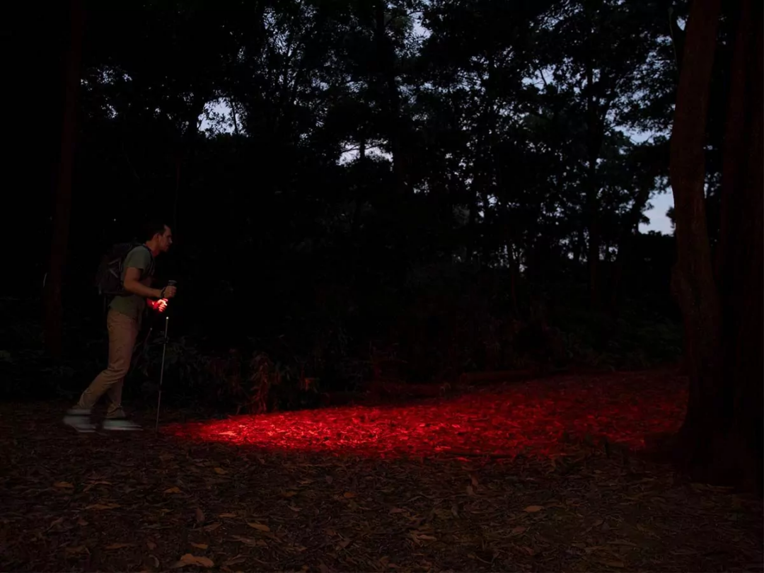 Olight Oclip Pro USB-C Rechargeable LED Cliplight – 500 Lumens – Uses Built-in 580mAh Li-ion Battery Pack - Image 16